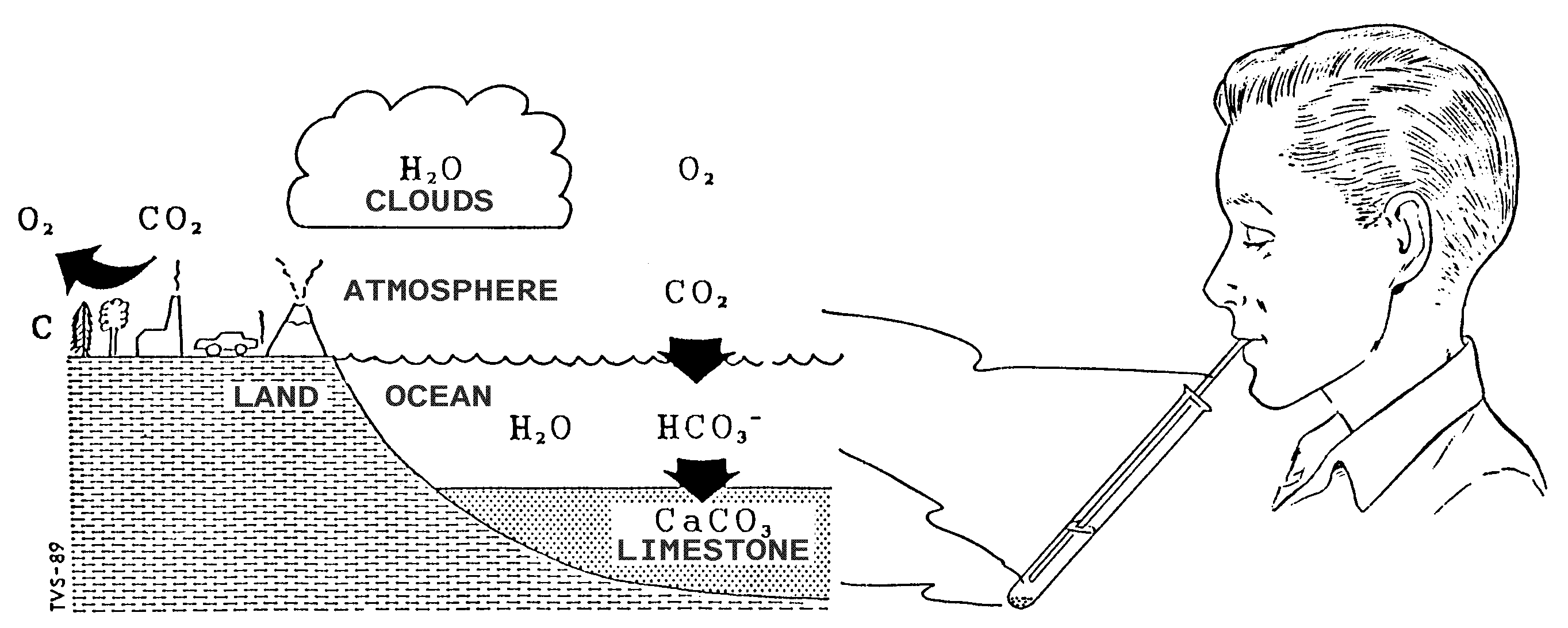 The atmosphere - ocean - limestone system is analogous to breathing CO2 into lime water precipitating solid calcium carbonate.
Download my Aftenposten chronicle [in Norwegian] (PDF; 242 kbytes).
