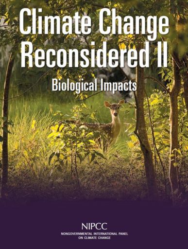 Download the NIPCC Climate Change Reconsidered II report (PDF; 20 Mbytes)